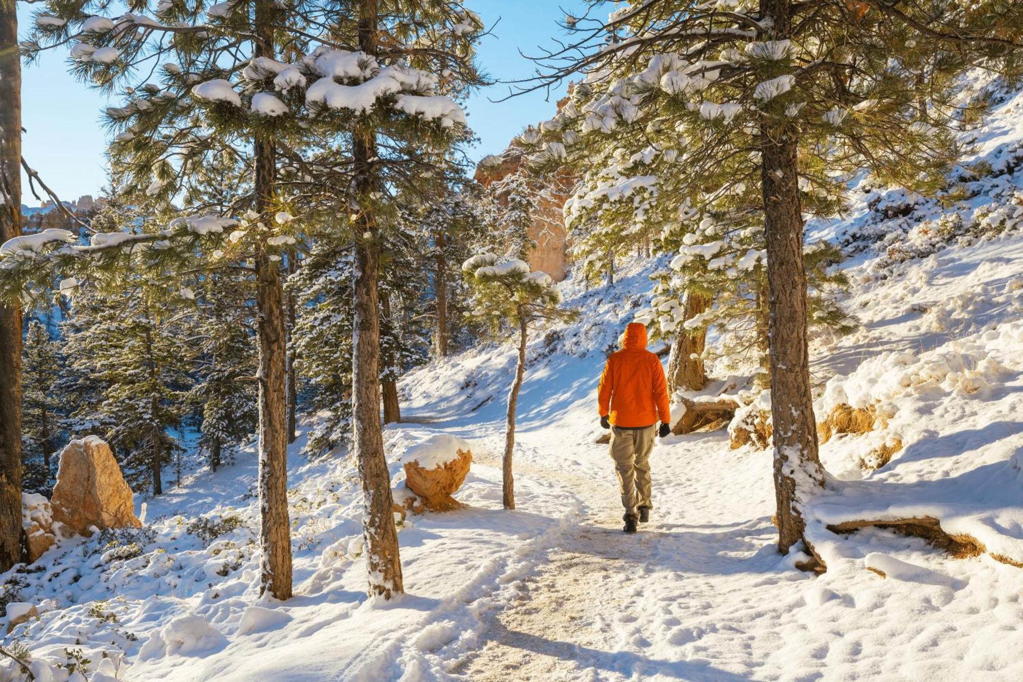 Charmant T3 Avec Vue Montagne Et Parking Privatif Font-Romeu-Odeillo-Via Exteriér fotografie