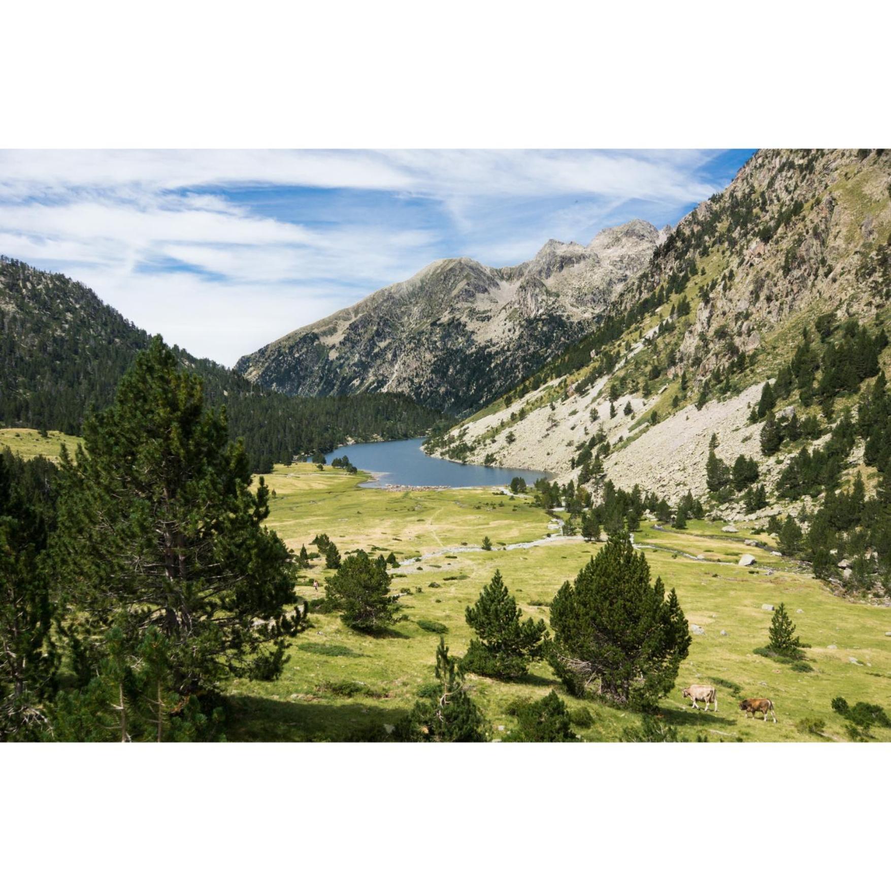 Charmant T3 Avec Vue Montagne Et Parking Privatif Font-Romeu-Odeillo-Via Exteriér fotografie